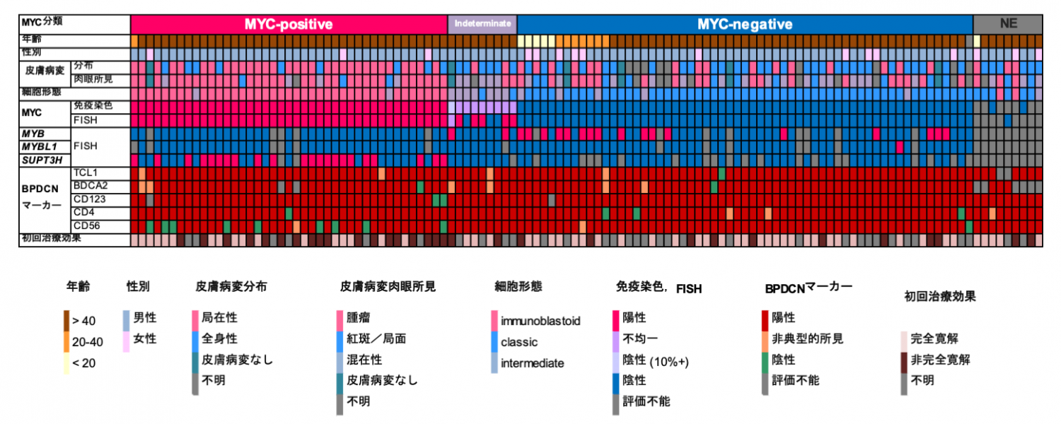 BPDCN 118例の所見一覧